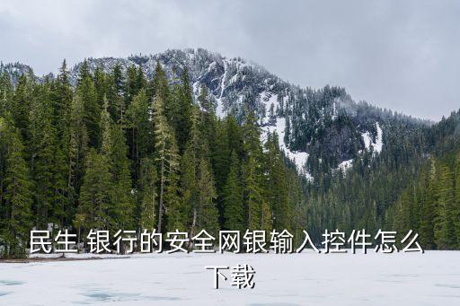 銀行usbkey驅動下載,河南農商銀行驅動下載